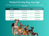 CM Joint Care for Dogs | Advanced Hip & Joint Repair Supplement with Cetyl Myristoleate (Omega 5), Glucosamine & Hyaluronic Acid | 360 Tasty Chewable Tablets