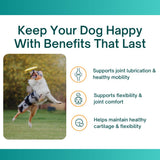 CM Joint Care for Dogs | Advanced Hip & Joint Repair Supplement with Cetyl Myristoleate (Omega 5), Glucosamine & Hyaluronic Acid | 120 Tasty Chewable Tablets